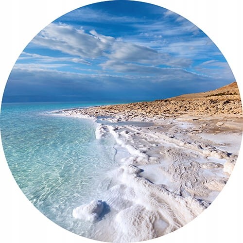 310f74952d03b0a6cdd70e0ff1f93765